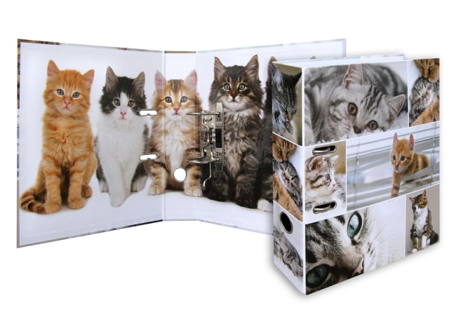 Designový pákový pořadač A4 7cm karton motiv Animals  - kočky