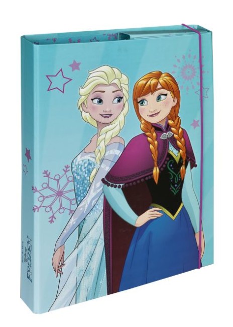 Box na sešity A4 - Frozen