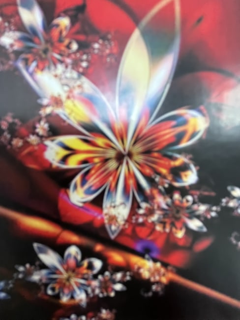 images/products/00/00/00/03/39/88/33988