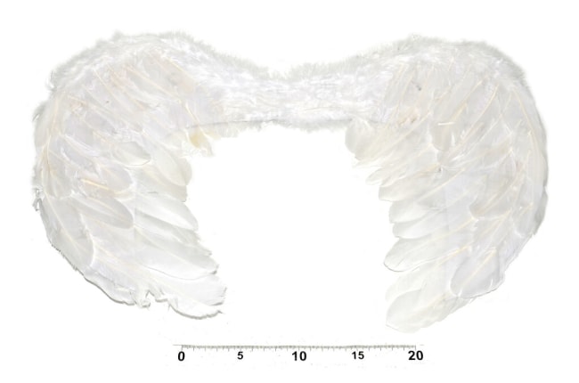 images/products/00/00/00/04/12/72/41272