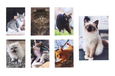 images/products/00/00/00/04/35/01/43501