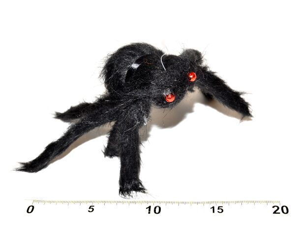 Pavouk černý 30 cm