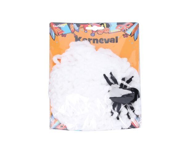 Pavučina s pavoukem